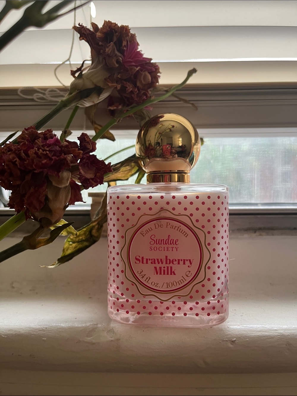 Sundae Society: Strawberry Milk 🍓